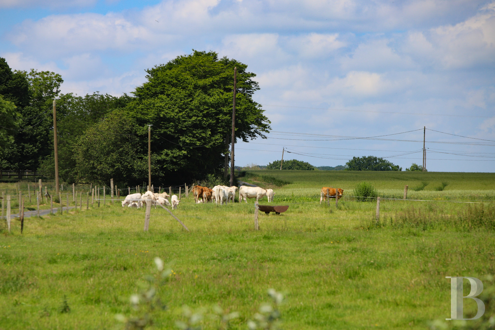 An Anglo-Norman-style villa in the Boucles de la Seine regional park in Normandy  - photo  n°31